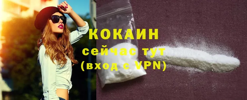 наркота  дарк нет Telegram  Cocaine Fish Scale  Котельниково 